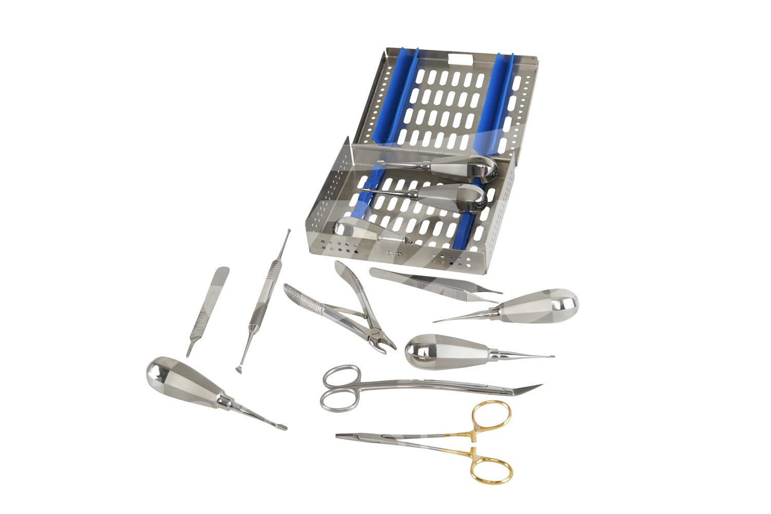 KRUUSE Dental-Set für gr. Hunde inkl Steribox 12-teilig 1 Set