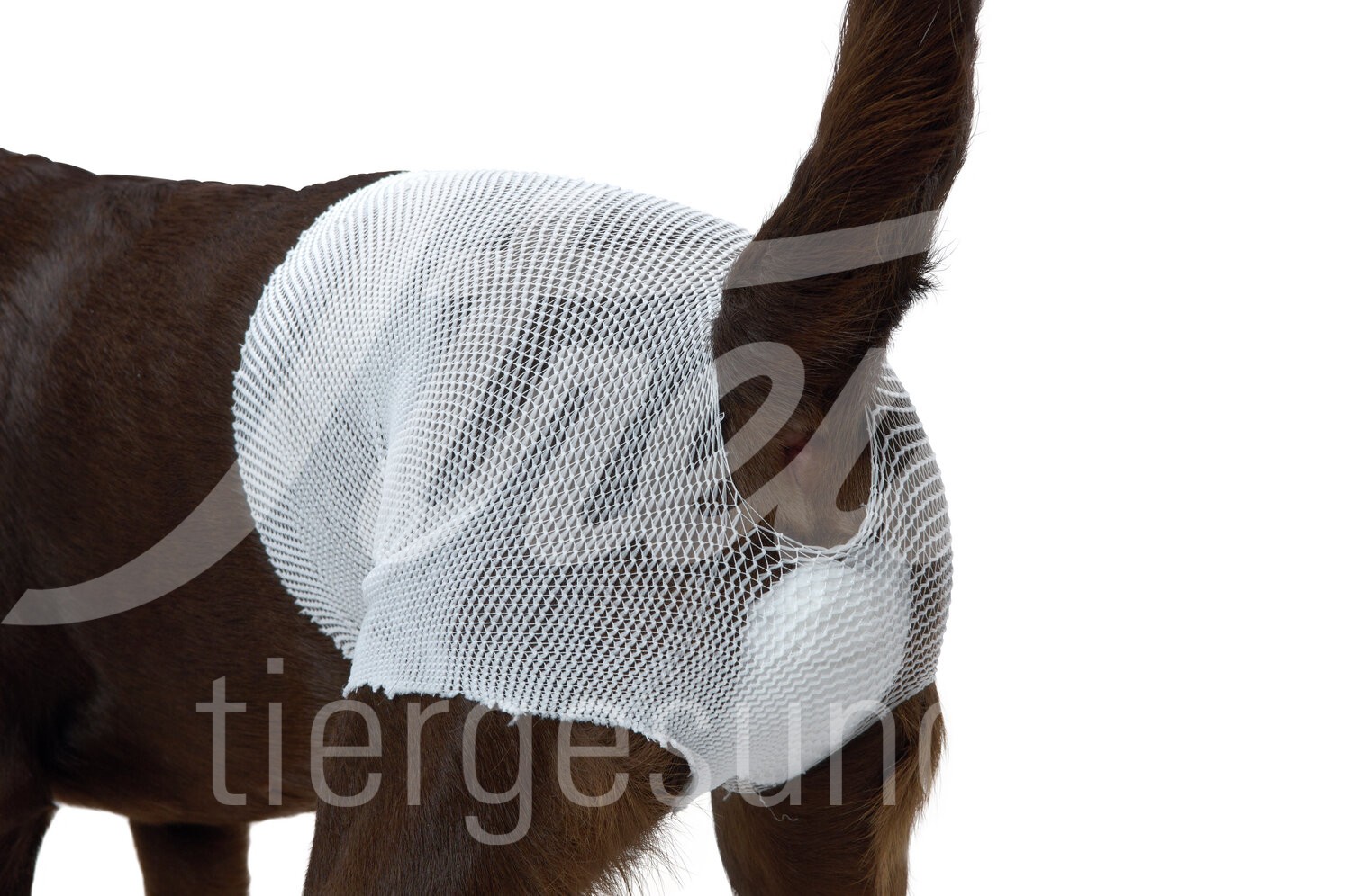 BUSTER Schlauchverband 8,8 cm x 6,5 m weiss 1 Stück