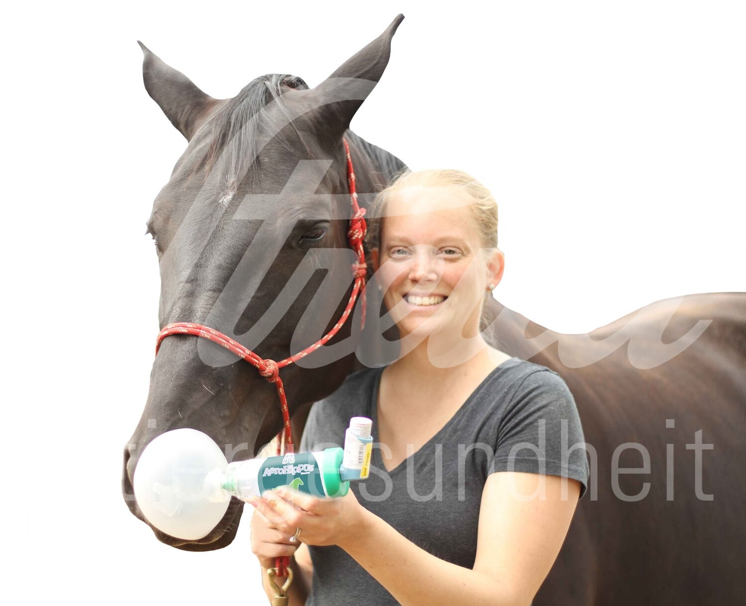 AeroHippus Inhaliergerät f. Pferde 1 Stück