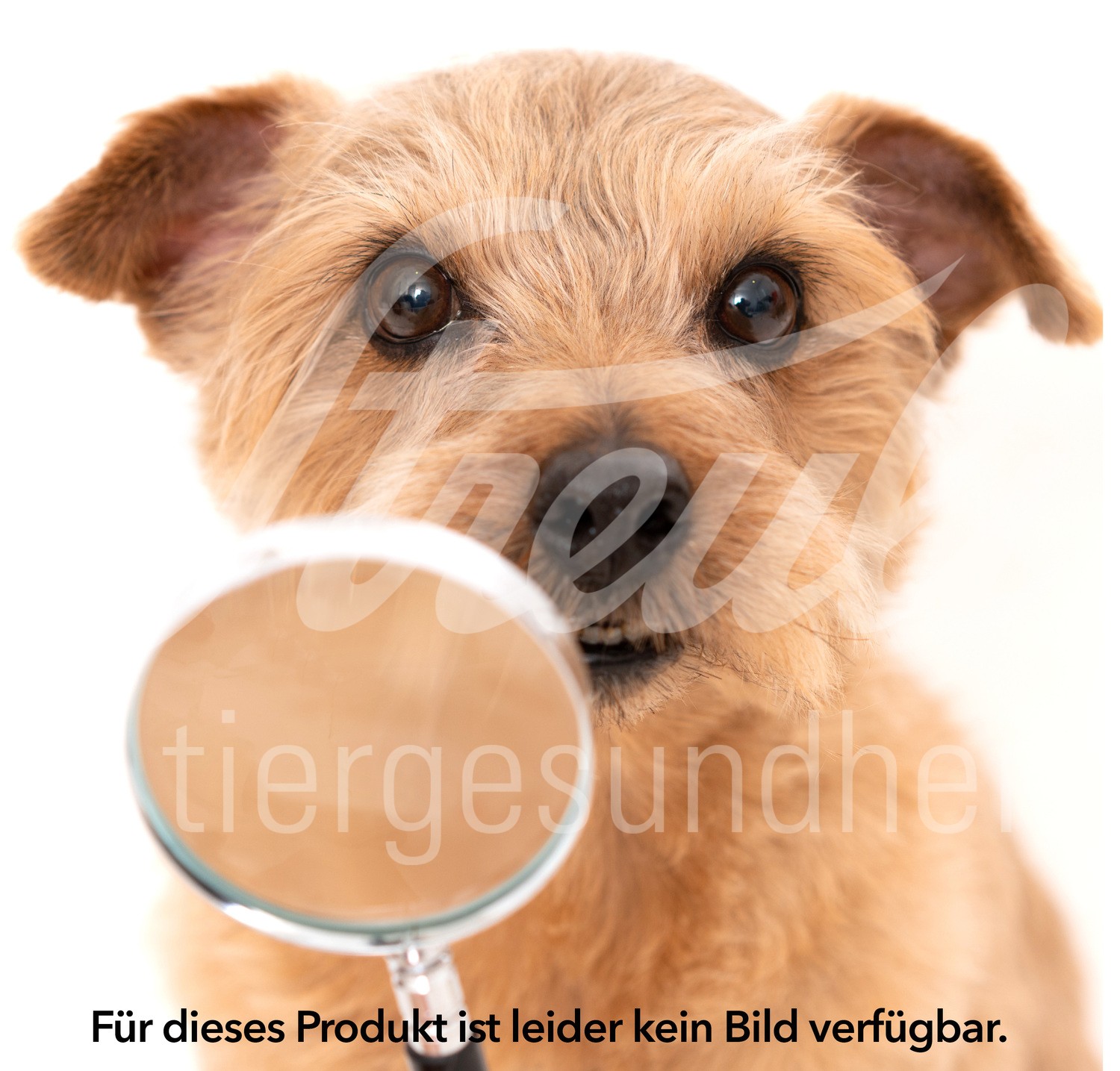 HeimtierSkills 1 Stück