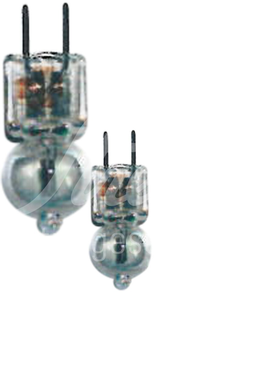 Dr. Mach Halogenlampe 22,8/24 V/ 80 W Stiftsockel 1 Stück