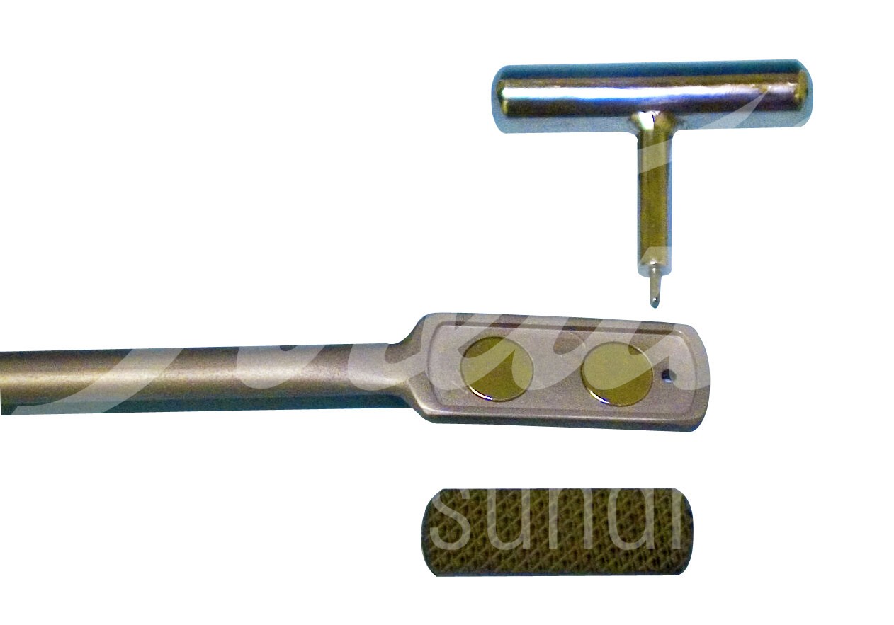 EQUIVET MagFloat Carbide Raspelplatte fein 1.9x5.5 cm 1 Stk.