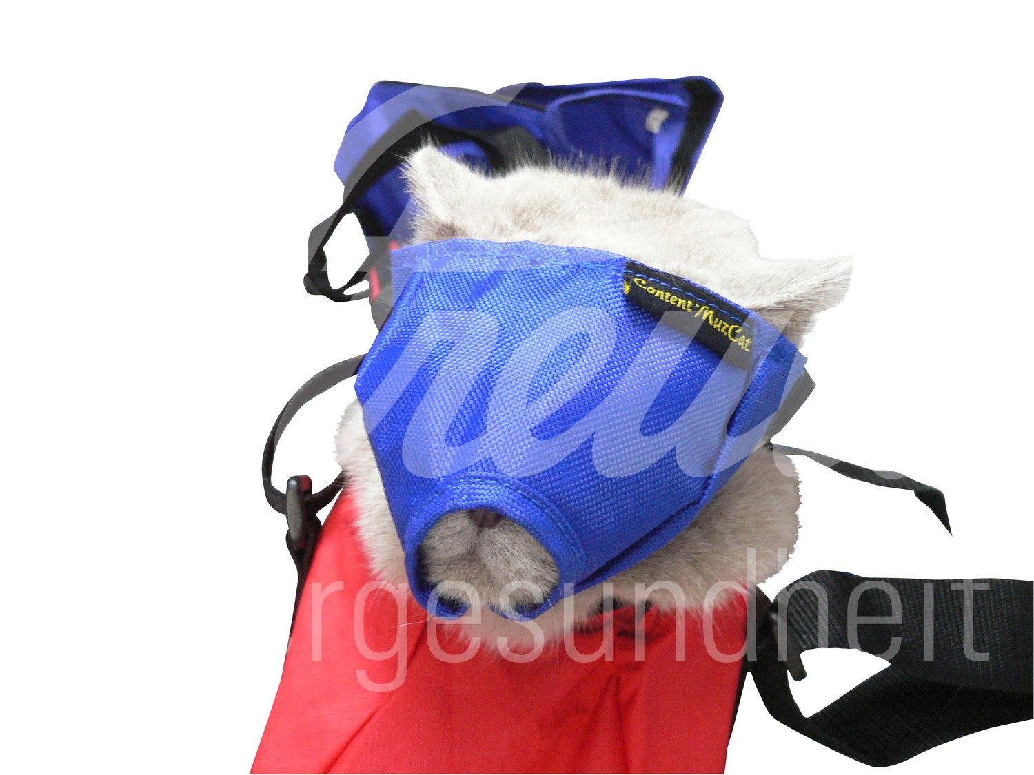 BUSTER Vet Nylon Maulkorb für Katze Gr. L 1 Stück BUSTER Vet Nylon Maulkorb für Katze Gr. L 1 Stück