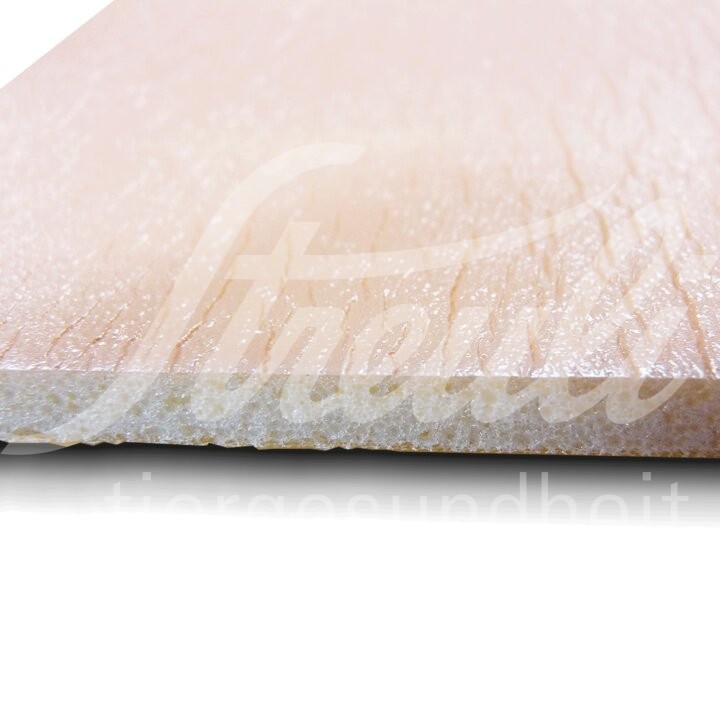 Aniplast Spongi 10 x 10 cm 10 Stück