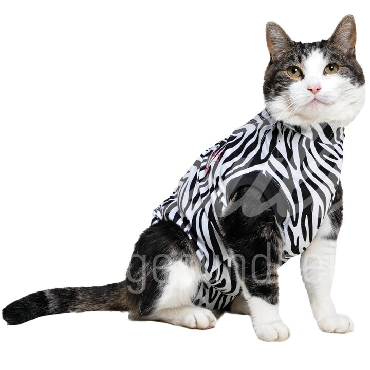 Medical Pet Shirt Katze Zebraprint Gr. S 1 Stück Medical Pet Shirt Katze Zebraprint Gr. S 1 Stück