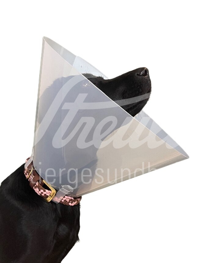 FV Halskragen Clic transp. Schnell-Versch. 10 cm 10 Stück