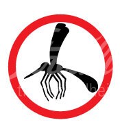 Vetexpert CPV Ag (Parvo) Schnelltest für Hunde 5 Stück