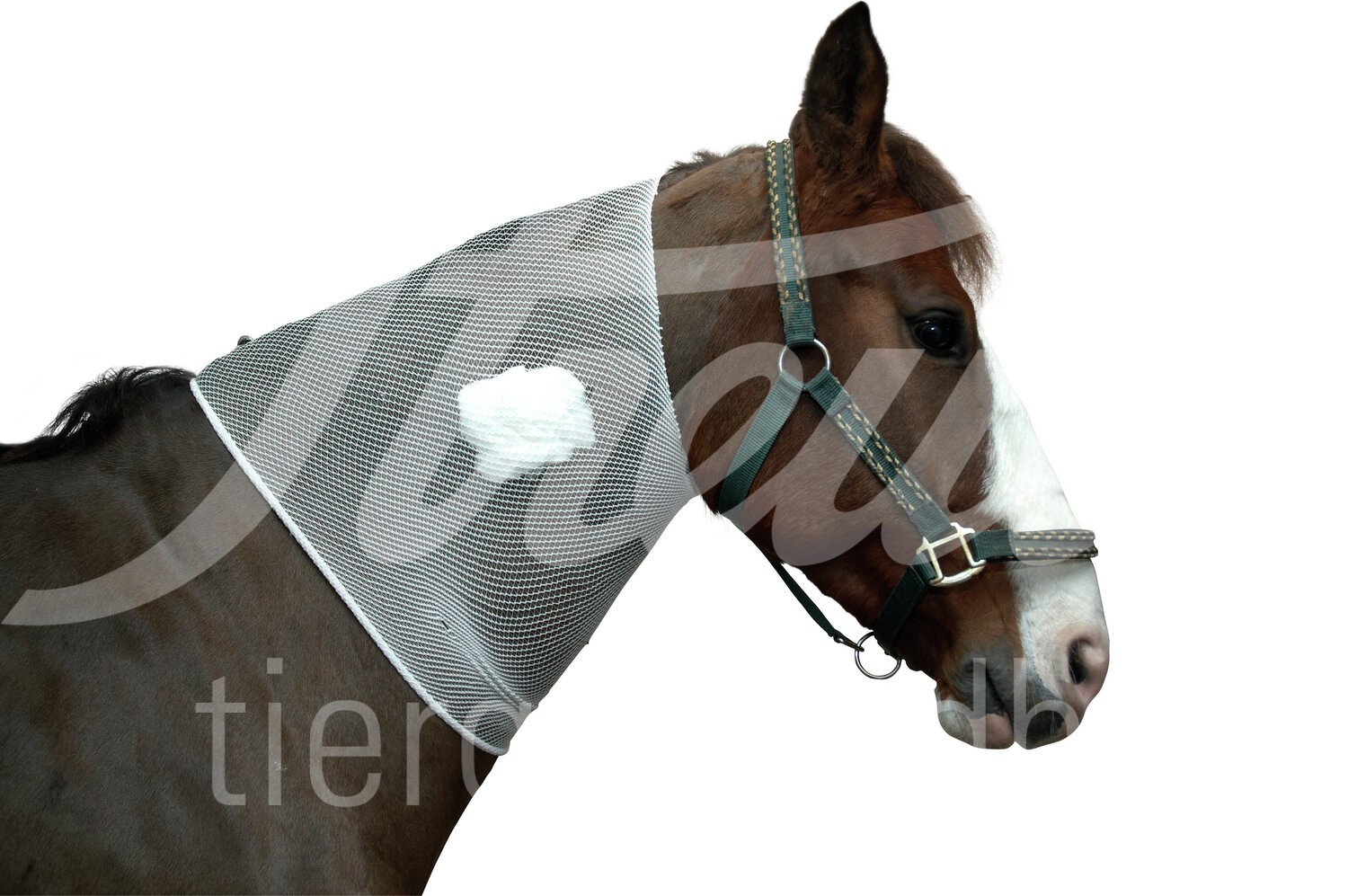 BUSTER Schlauchverband 8,8 cm x 6,5 m weiss 1 Stück