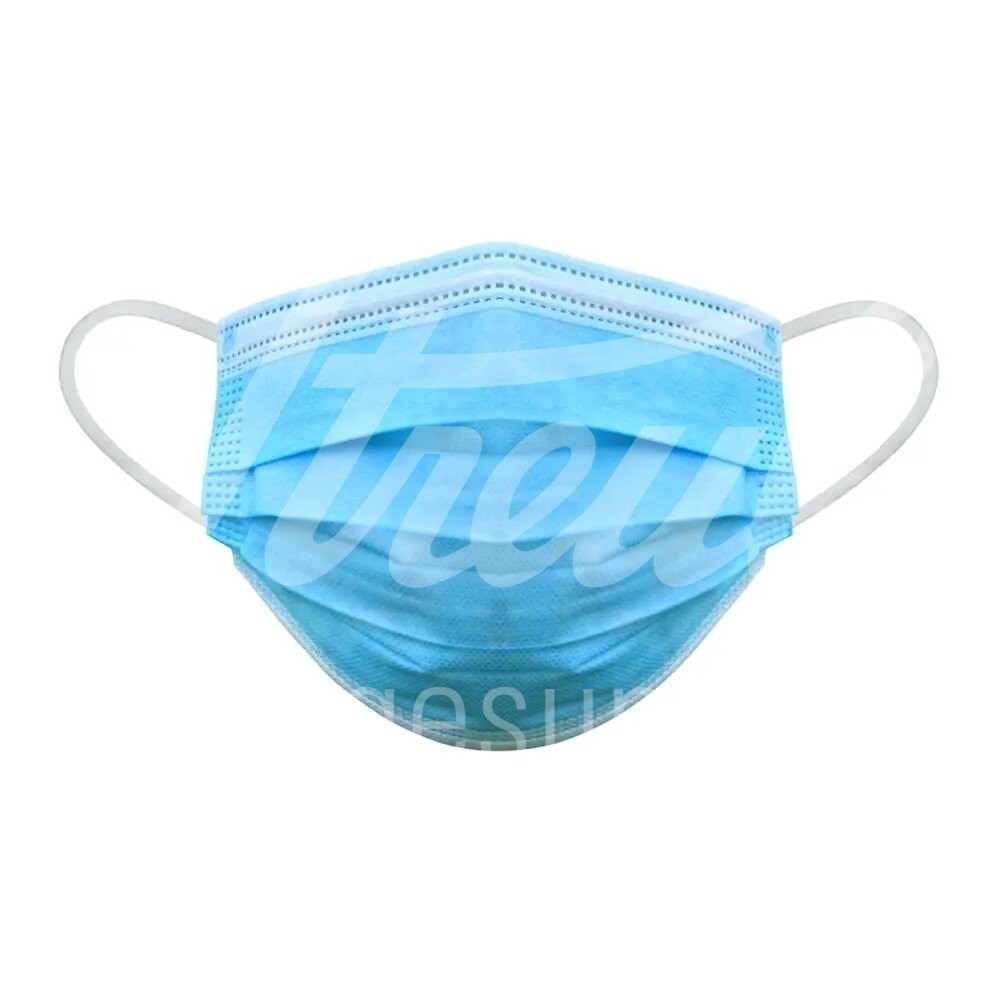 Promedical Hygienemaske Typ IIR mit Earloops blau unsteril 50 Stk