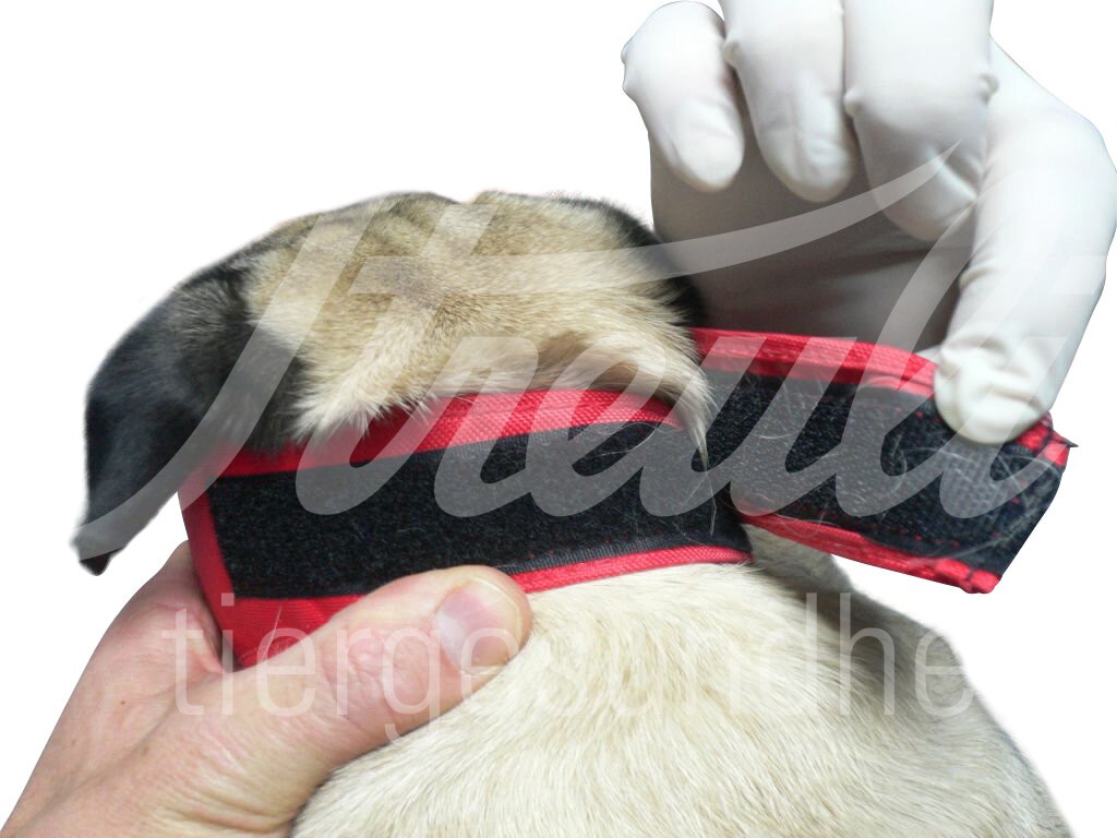BUSTER Vet Nylon Maulkorb f. brachyocephalen Hund Gr.S 1 Stk BUSTER Vet Nylon Maulkorb f. brachyocephalen Hund Gr.S 1 Stk