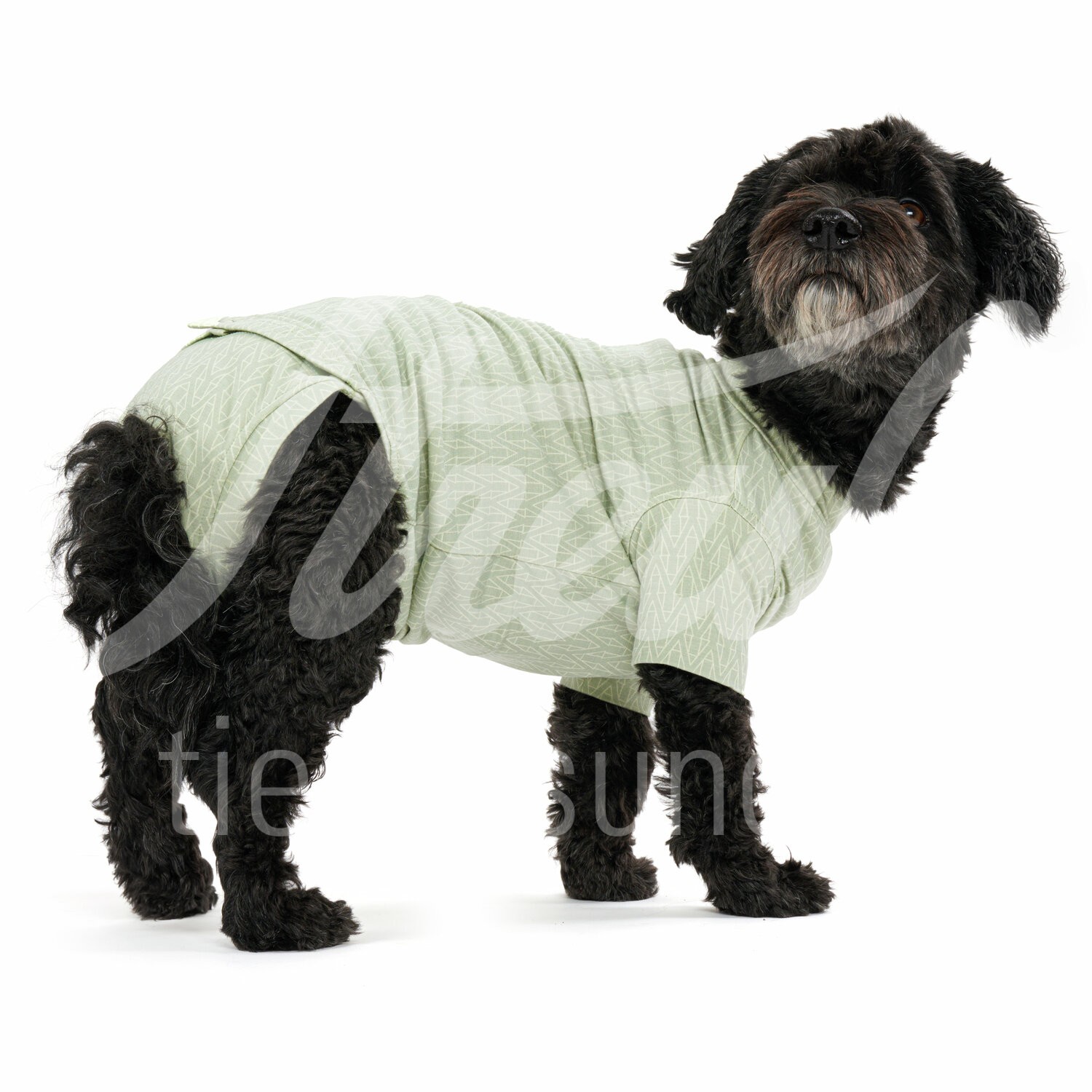BUSTER Body Suit Step'n Go Bambus Hund Gr. S grün 1 Stk. BUSTER Body Suit Step'n Go Bambus Hund Gr. S grün 1 Stk.