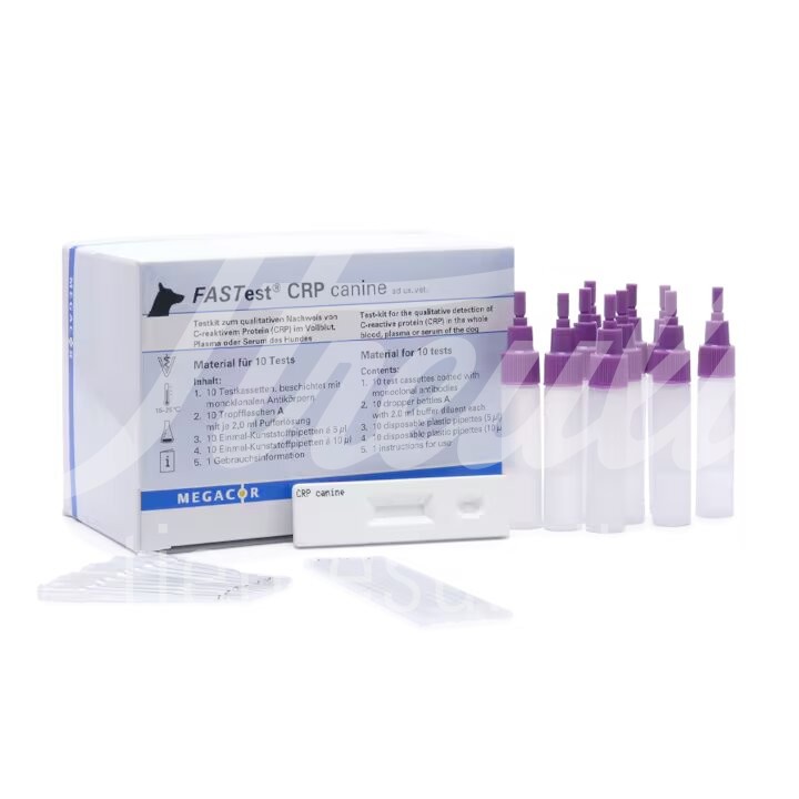 FASTest CRP canine, C-reaktives Protein 10 Stück