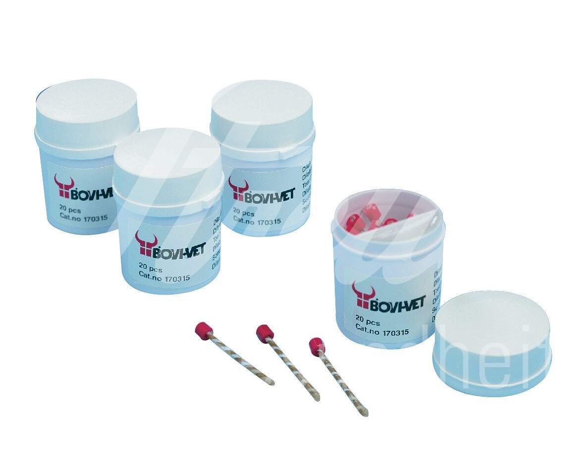 BOVIVET Dilatationsstifte m.Vaseline Ø2.5mmx4.5cm 6x20 Stk