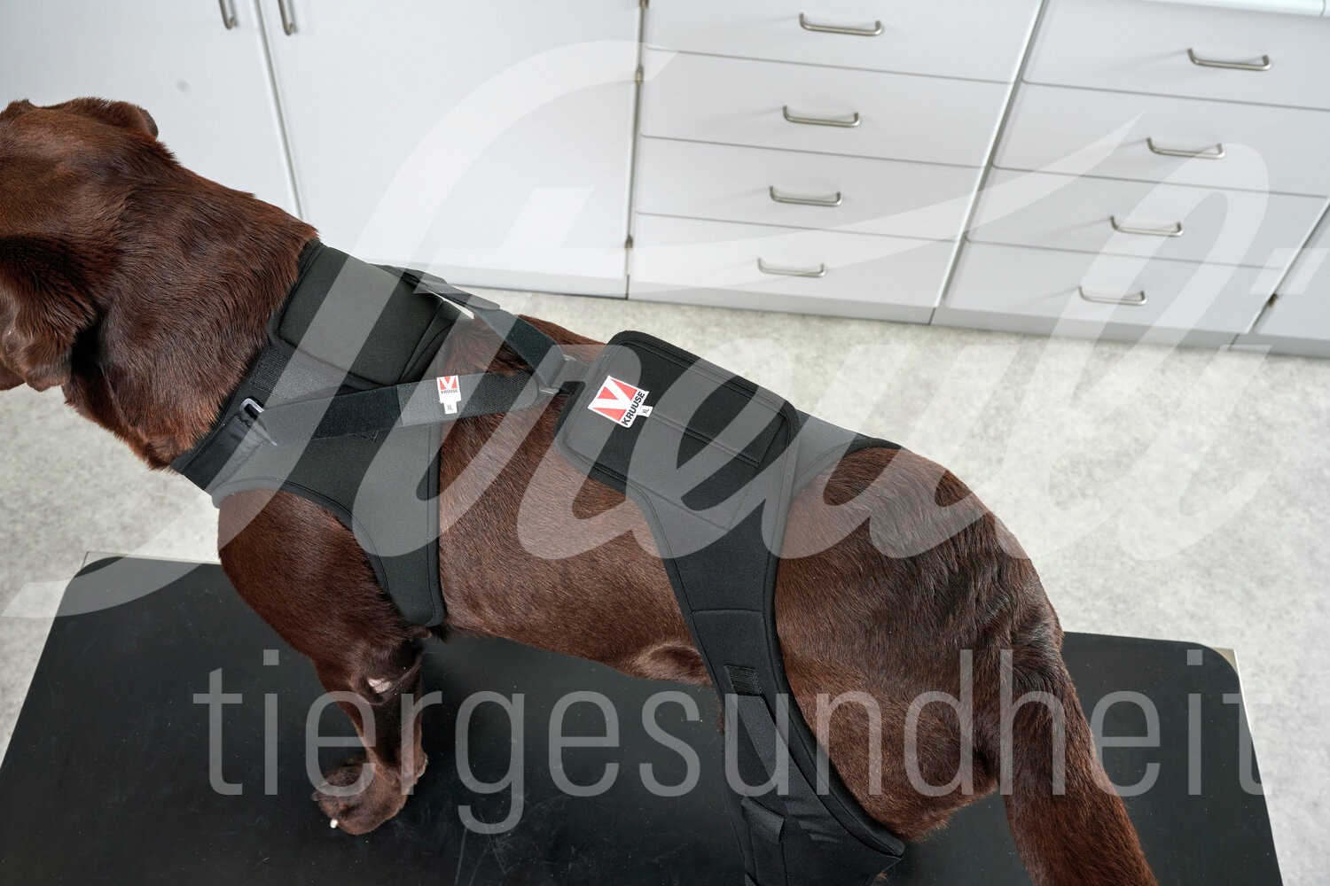 KRUUSE Rehab Pro Hund Kniegelenkschutz Gr. L links 1 Stück