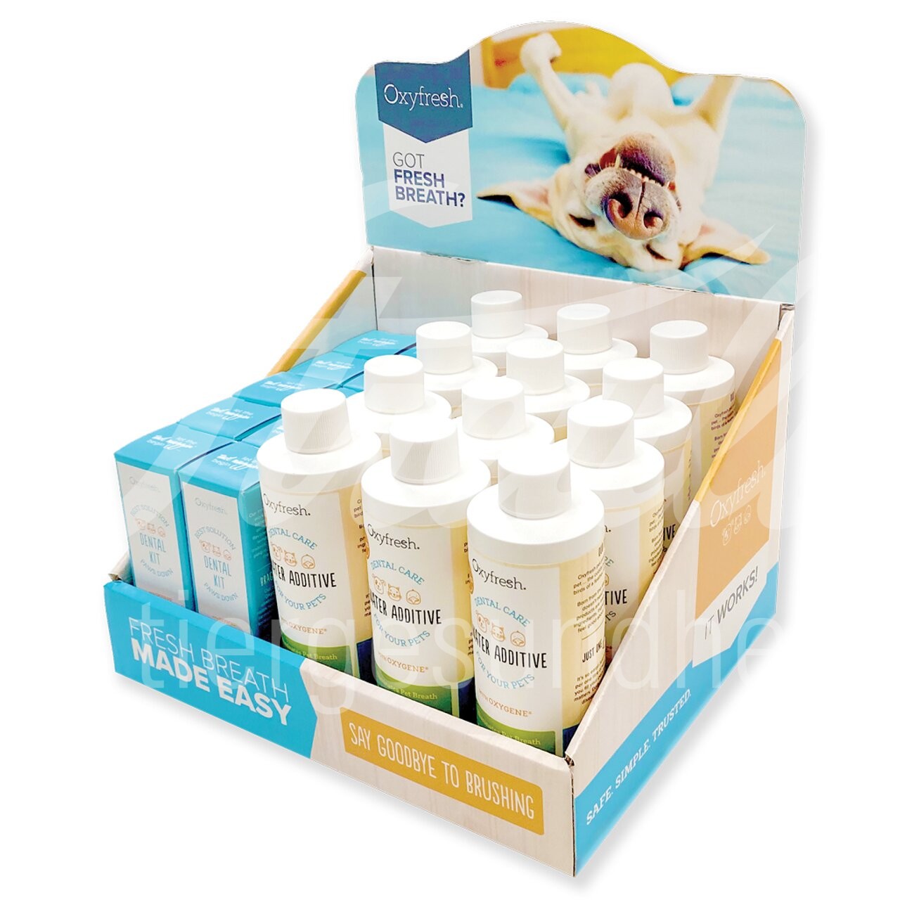 Oxyfresh Display 1 Stück