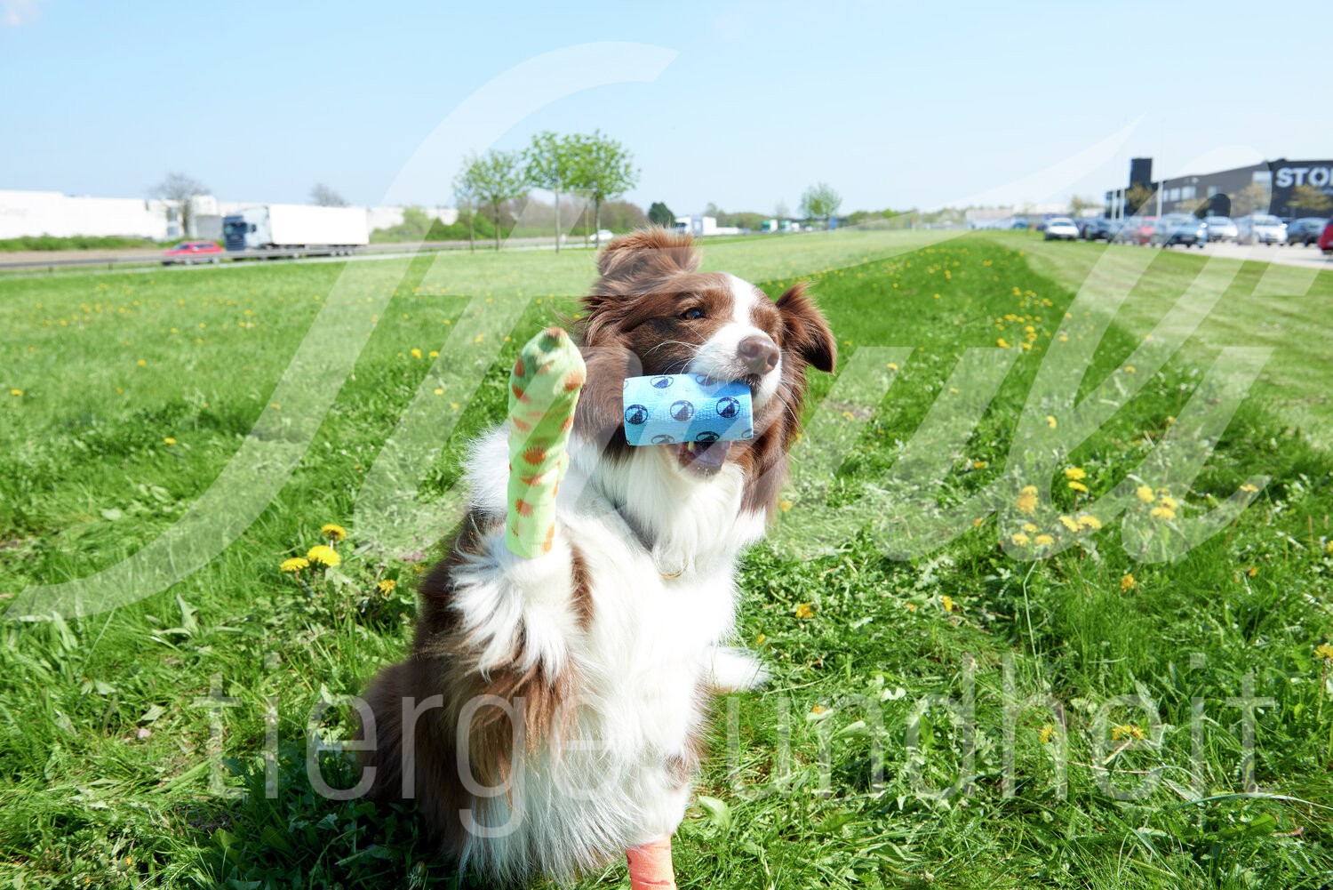 KRUUSE Fun Flex Sommer Bandagen 7.5cm x 4.5m assort. 10Stk.