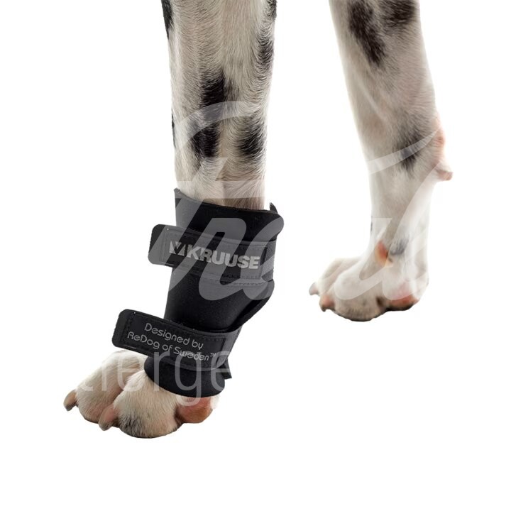 KRUUSE Rehab Hund Karpalgelenkschutz Gr. L 1 Stück