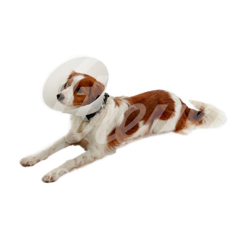 BUSTER Halskragen Classic trüb 40 cm 1 Stück
