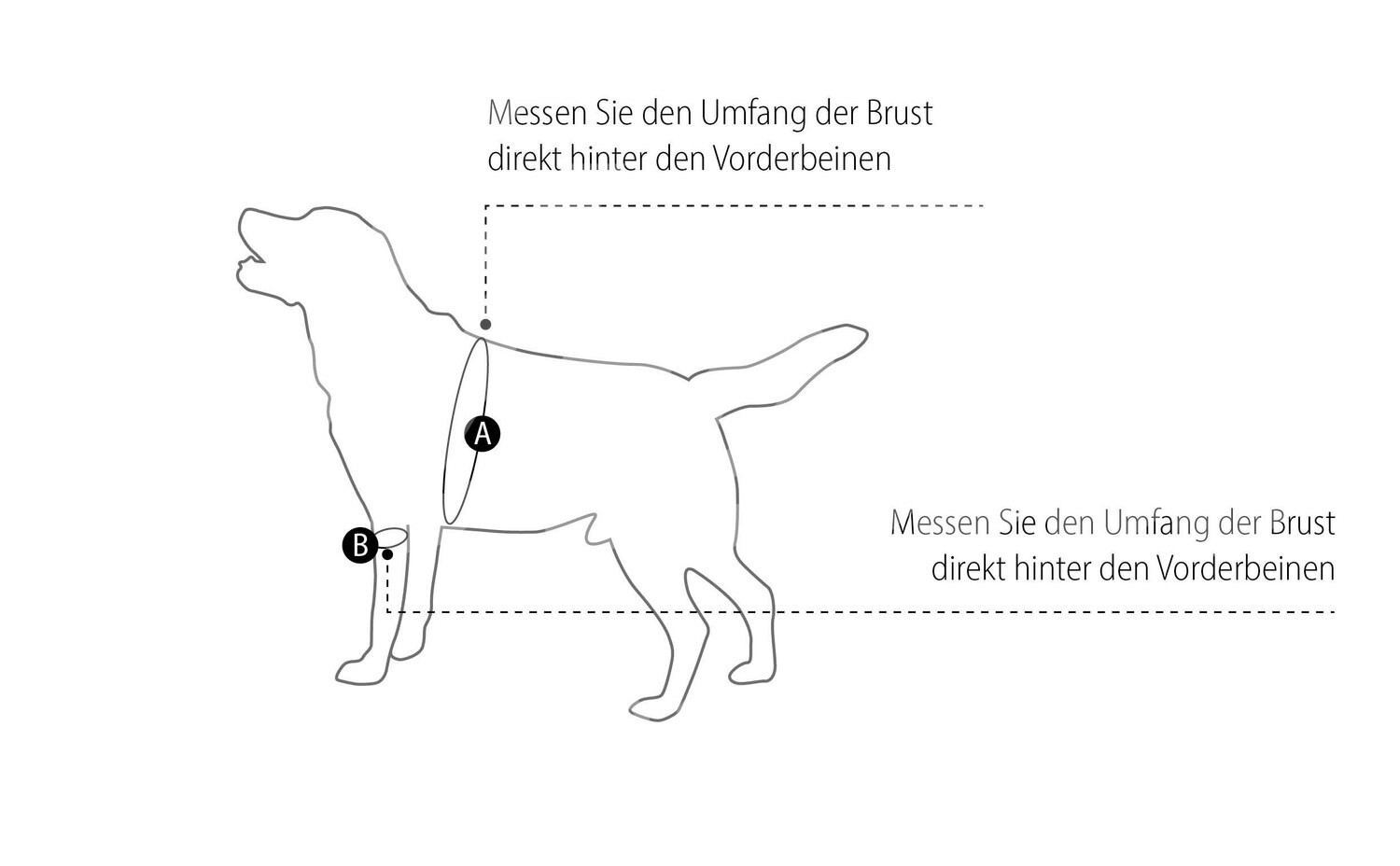 KRUUSE Rehab Tragehilfe Vorderbeine Gr. L 1 Stück KRUUSE Rehab Tragehilfe Vorderbeine Gr. L 1 Stück