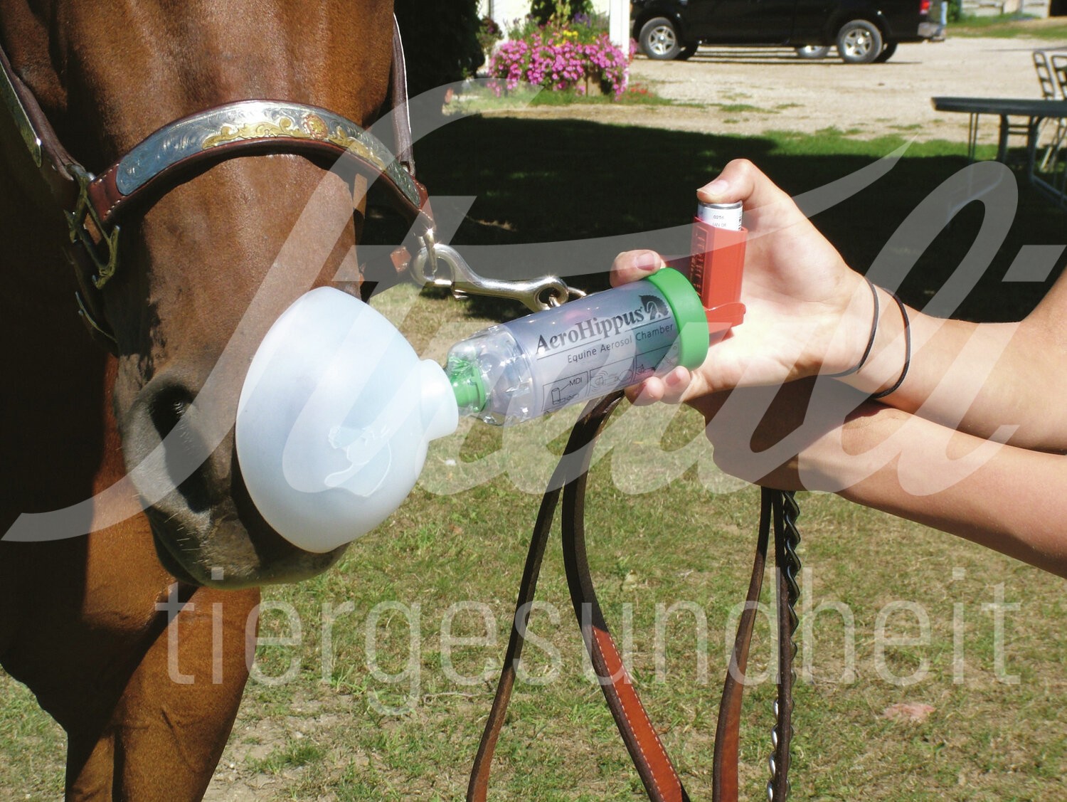 AeroHippus Inhaliergerät f. Pferde 1 Stück
