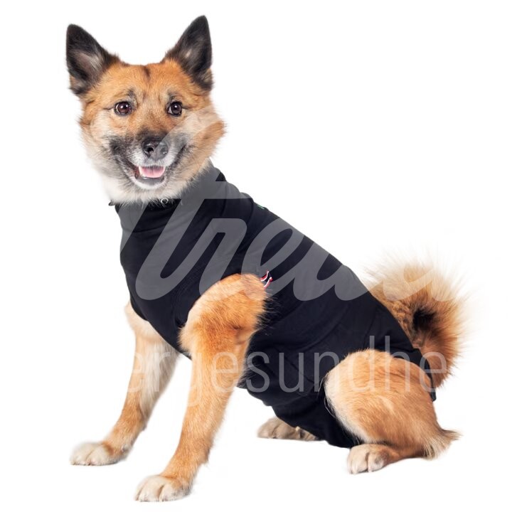 WDT Post-OP Body Premium Hund Grösse M Short 1 Stück WDT Post-OP Body Premium Hund Grösse M Short 1 Stück