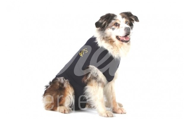 MPS Shirt Hund blau Gr. M+ 1 Stück MPS Shirt Hund blau Gr. M+ 1 Stück