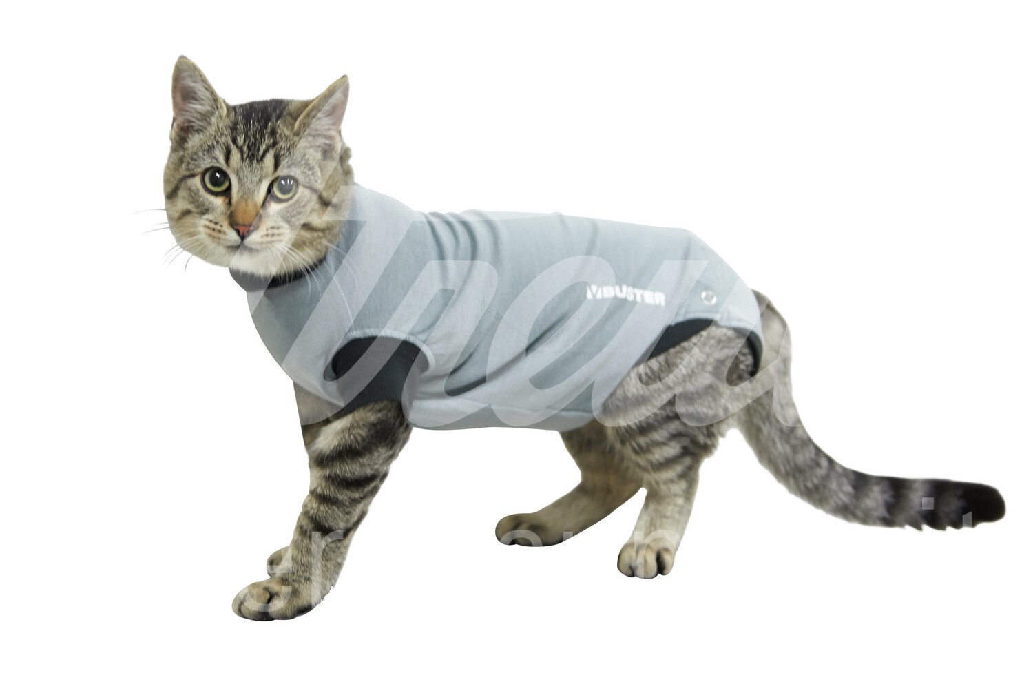 BUSTER Body Suit EasyGo Kater & Kätzin Gr. XS 1 Stück BUSTER Body Suit EasyGo Kater & Kätzin Gr. XS 1 Stück