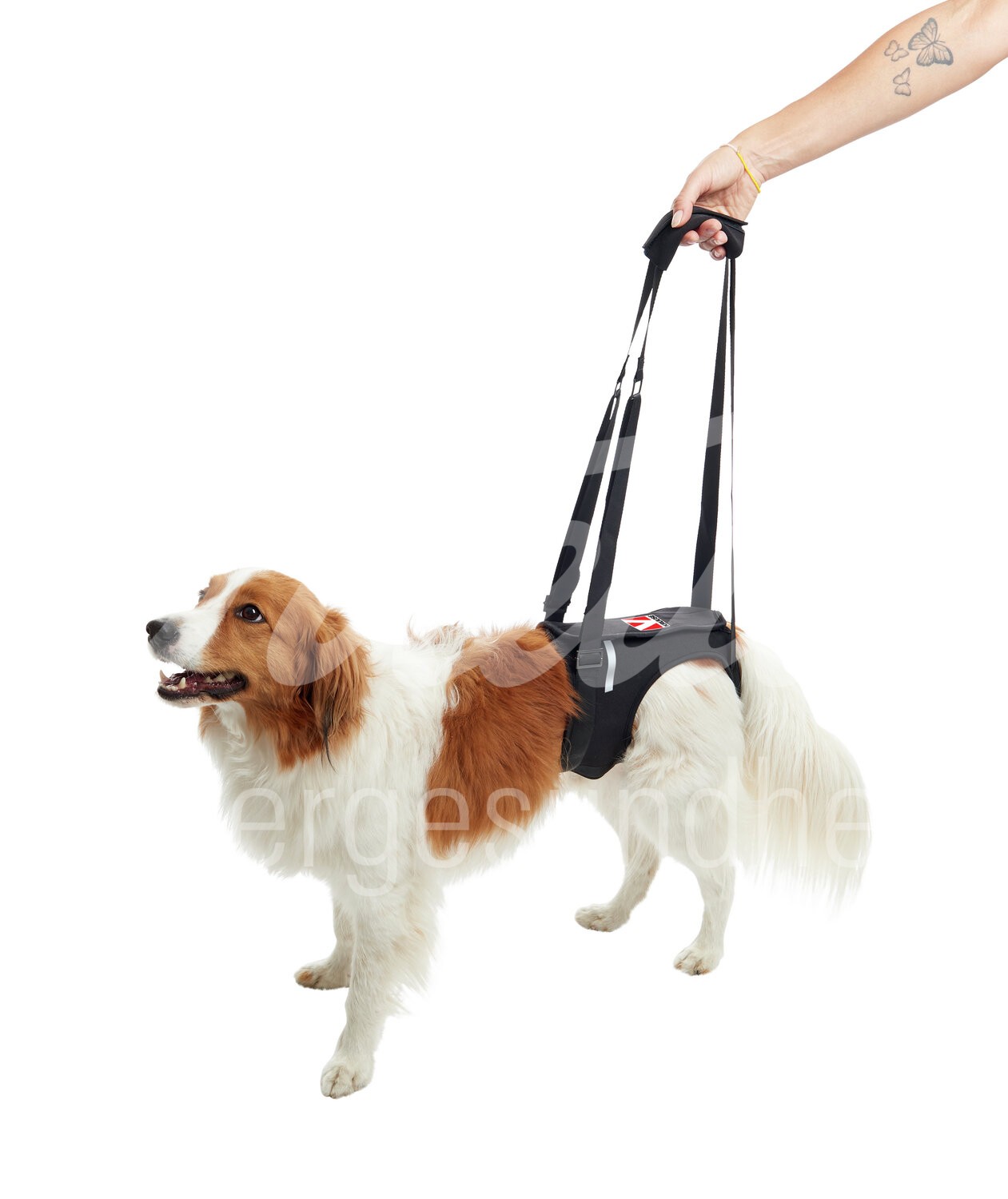 KRUUSE Rehab Tragehilfe Hinterbeine Gr. XS 1 Stück