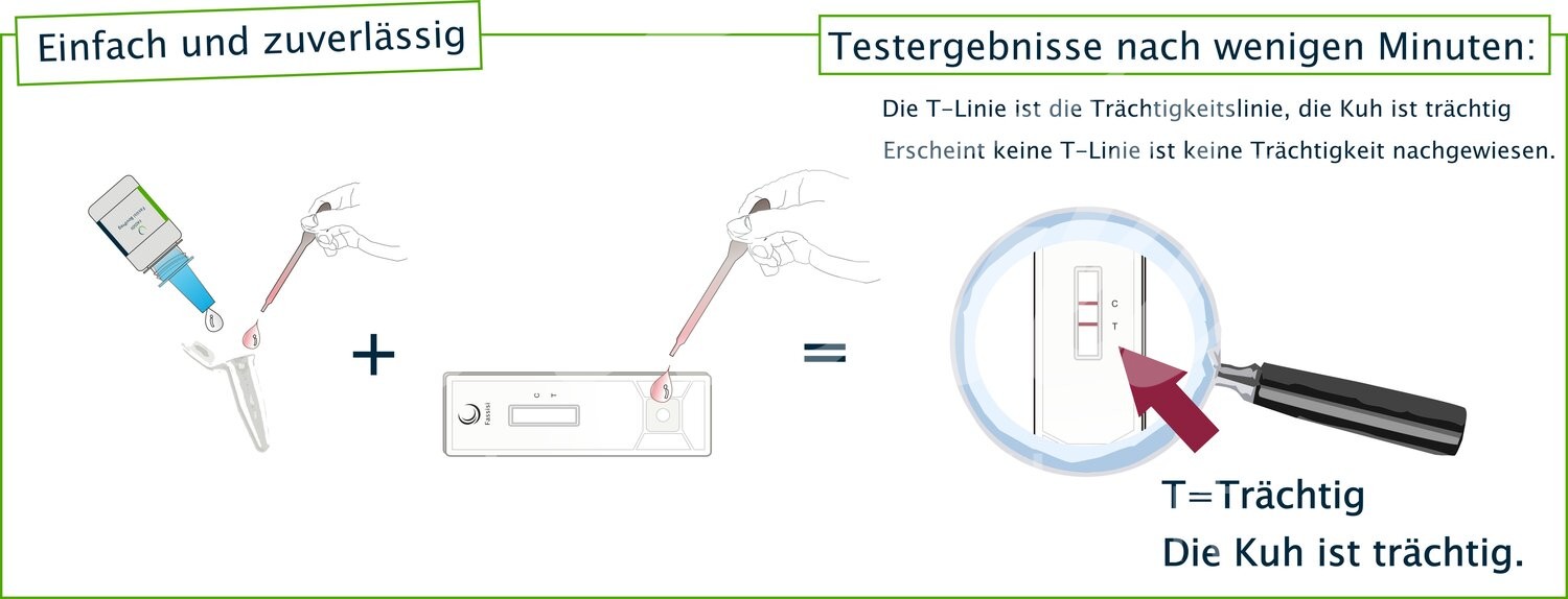 Fassisi Schnelltest BoviPreg Kühe Trächtigkeitsnachweis 5 Stk.