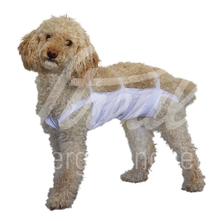 WDT Bauchverband Weiss Gr. 1 1 Stück