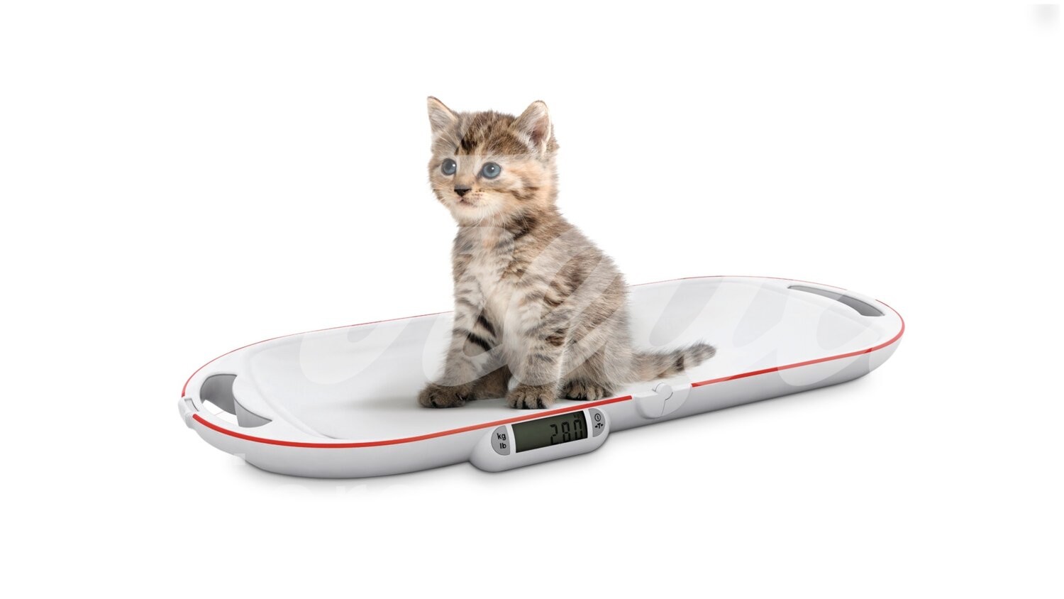 Soehnle Kleintierwaage klappbar bis 15 kg 1 Stück