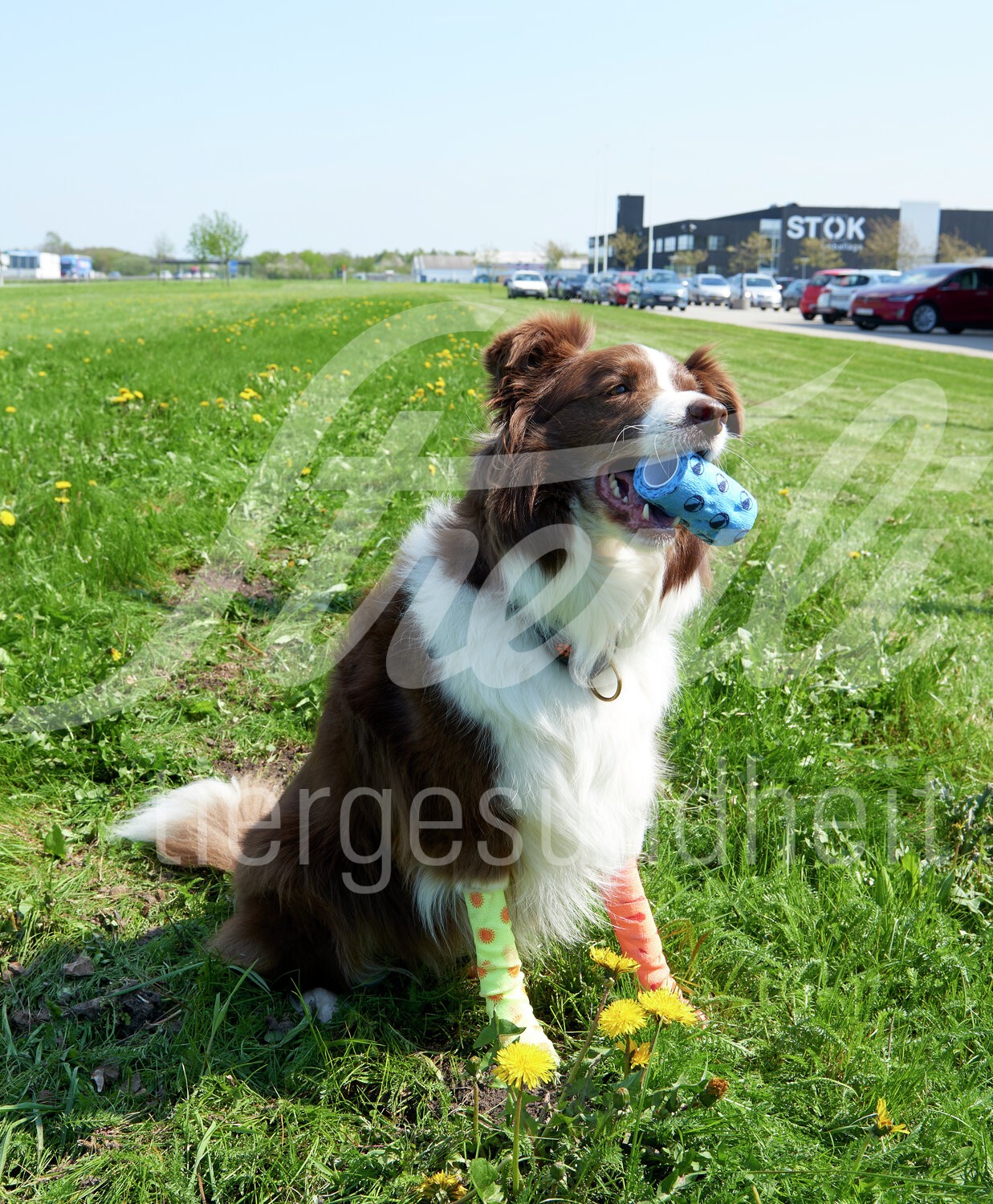 KRUUSE Fun Flex Sommer Bandagen 10cm x 4.5m assort. 10Stk.