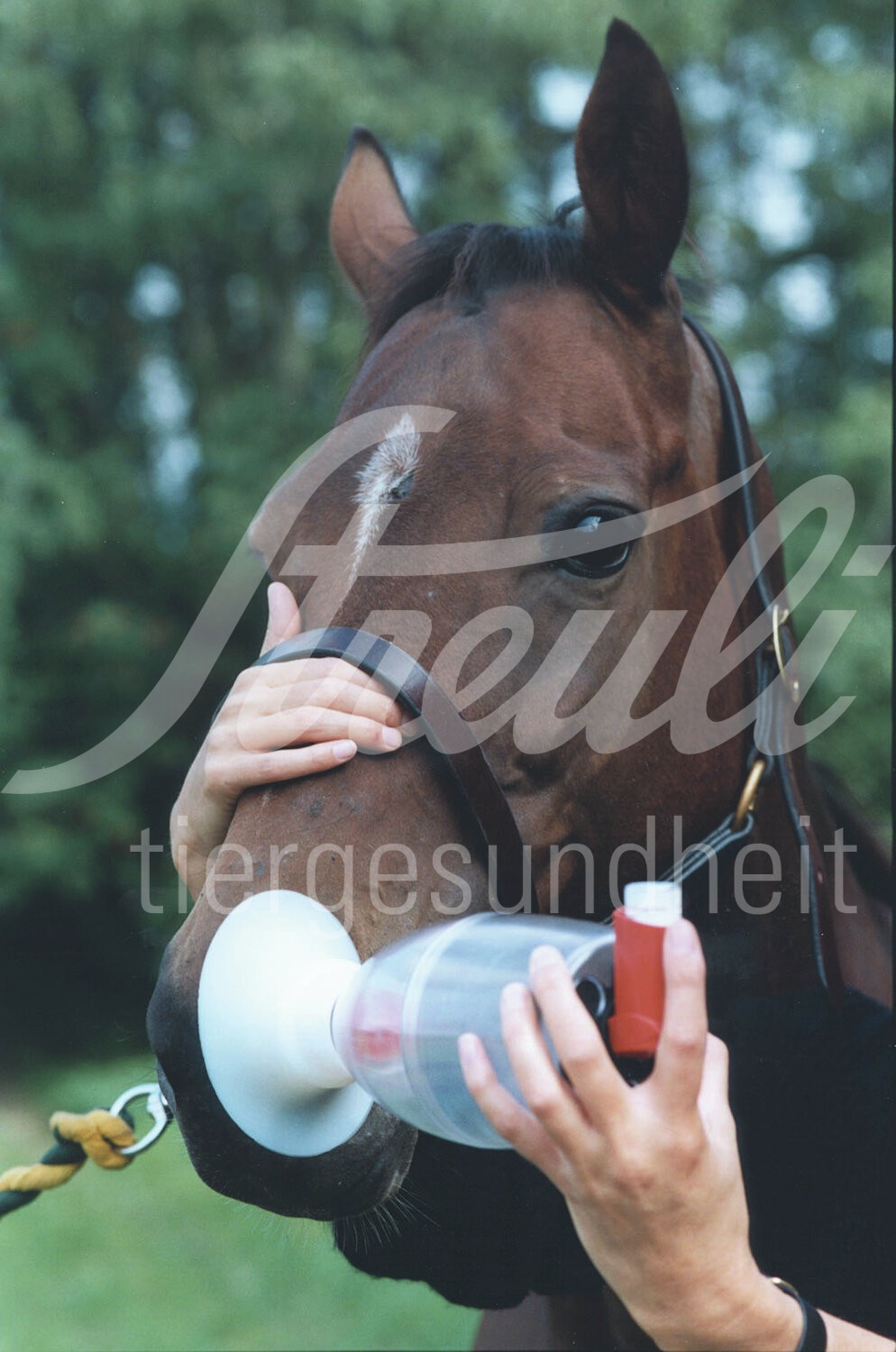Equine Haler Inhaliergerät 1 Stück Equine Haler Inhaliergerät 1 Stück