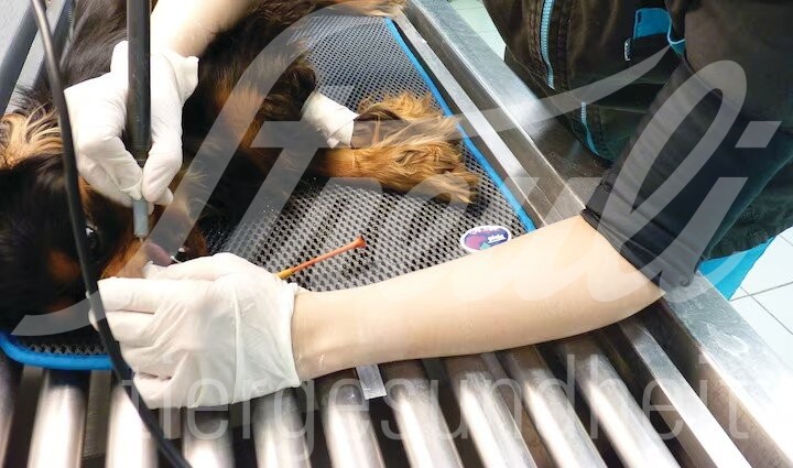 Cosypad Gr. 1, 33 x 50 cm, grau 1 Stück