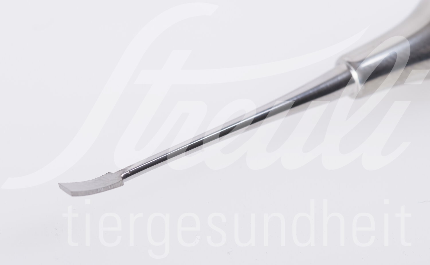 KRUUSE Zahnscaler / Zahnreiniger rechts 15.5 cm 1 Stück KRUUSE Zahnscaler / Zahnreiniger rechts 15.5 cm 1 Stück