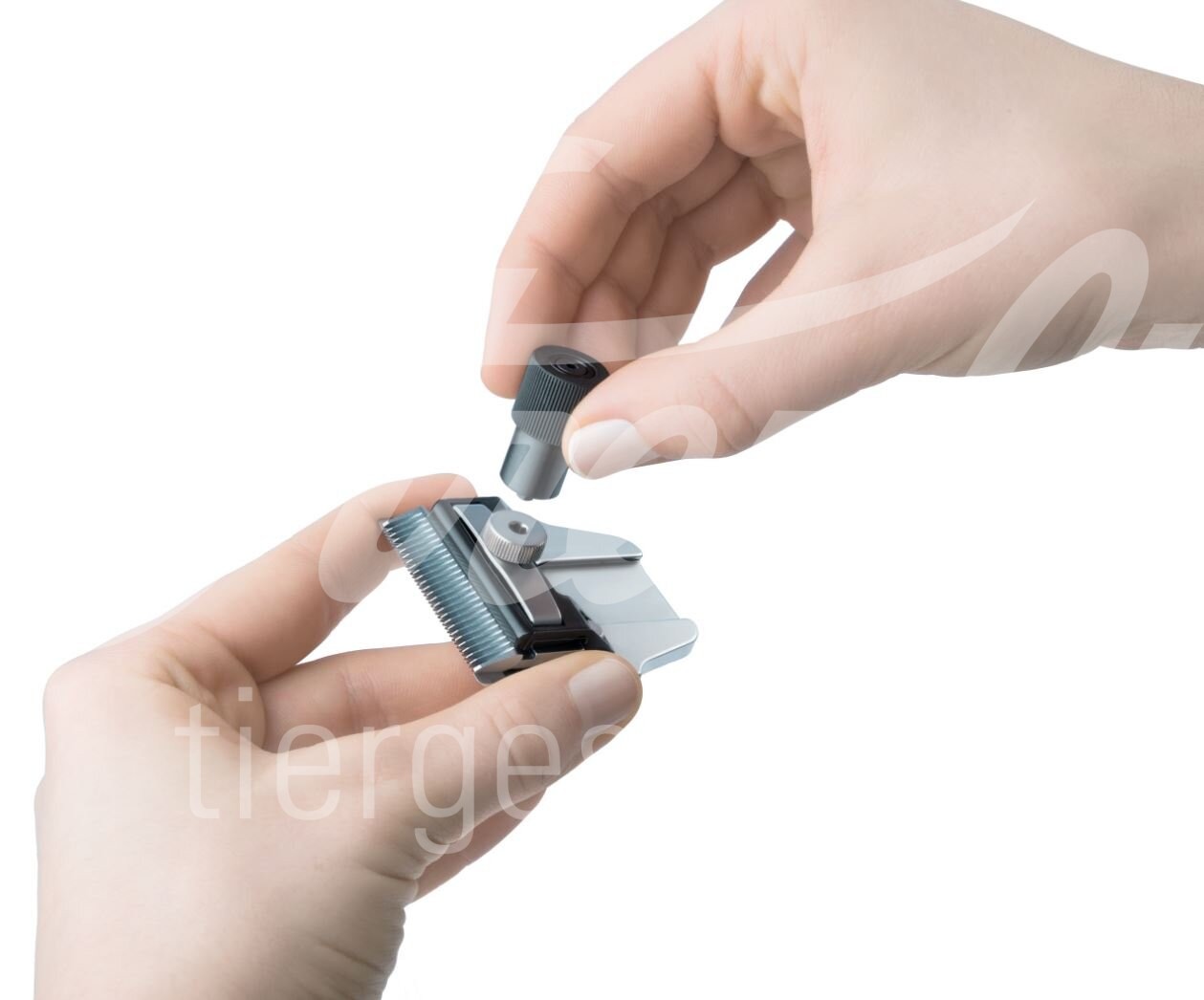 Aesculap Torqui für Favorita Scherköpfe 1 Stück