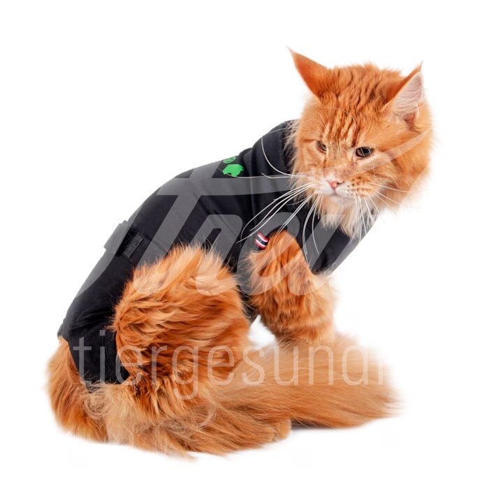 WDT Post-OP Body Premium Katze Grösse S 1 Stück WDT Post-OP Body Premium Katze Grösse S 1 Stück