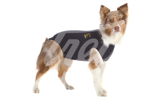 MPS Shirt Hund blau Gr. M+ 1 Stück MPS Shirt Hund blau Gr. M+ 1 Stück