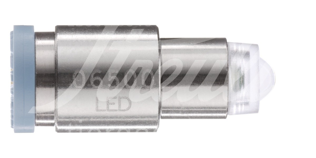 Welch Allyn Ersatz LED für Macro View bis 01/22, 06500-LED 1 Stück