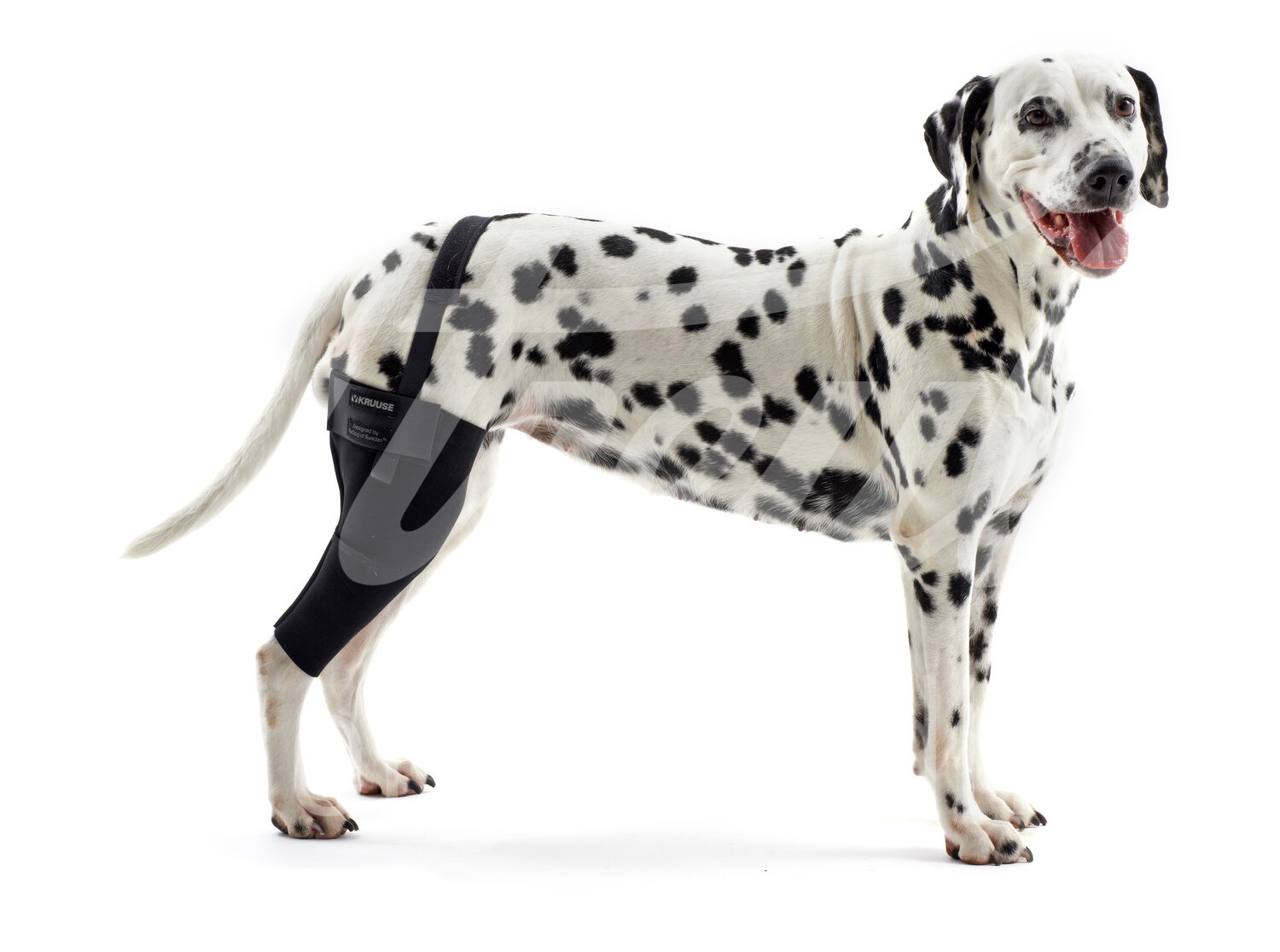 KRUUSE Rehab Hund Kniegelenkschutz Gr. XXL links 1 Stück