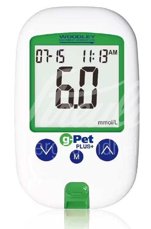 g-Pet Plus Kontrolllösung 1 Stück