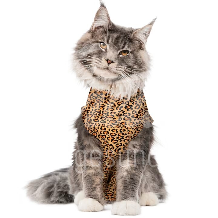 Medical Pet Shirt Katze Leopardprint Gr. S 1 Stück Medical Pet Shirt Katze Leopardprint Gr. S 1 Stück