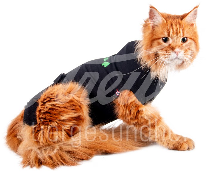 WDT Post-OP Body Premium Katze Grösse S 1 Stück WDT Post-OP Body Premium Katze Grösse S 1 Stück