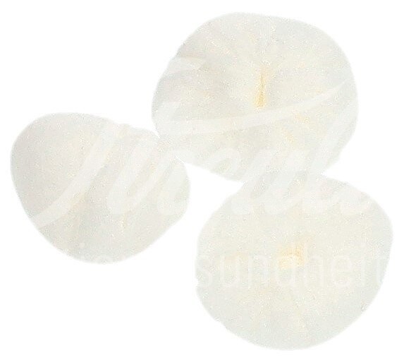 Mesoft NW Rundtupfer 35mm unsteril 100 Stk Mesoft NW Rundtupfer 35mm unsteril 100 Stk