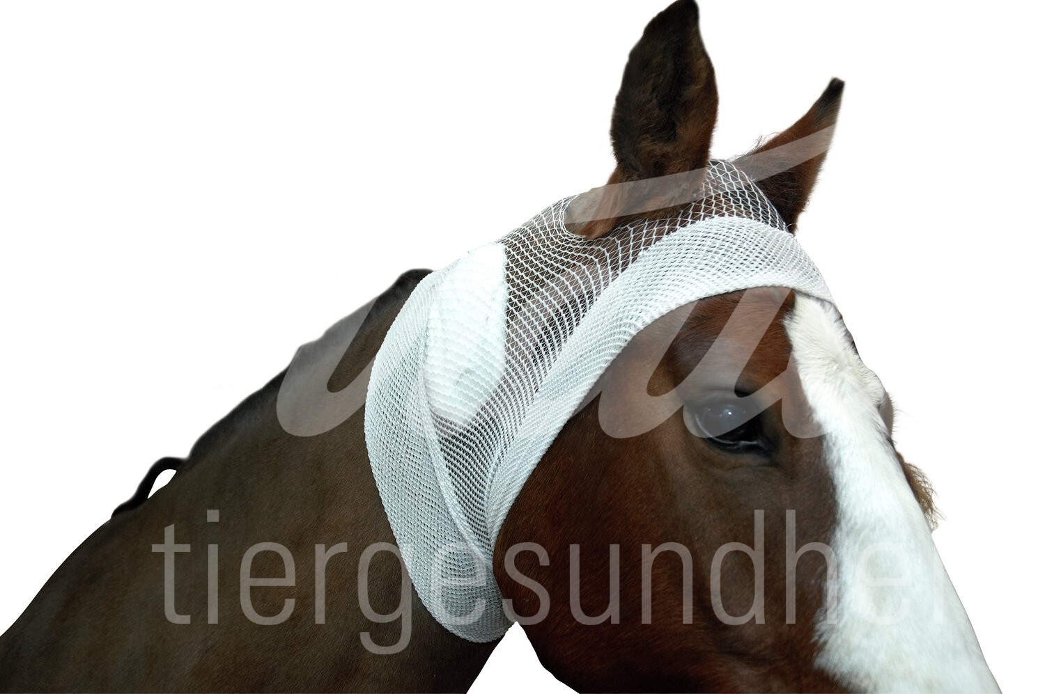 BUSTER Schlauchverband 8,8 cm x 6,5 m weiss 1 Stück