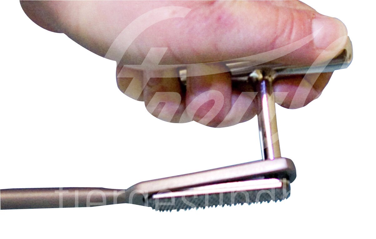 EQUIVET MagFloat Carbide Raspelplatte fein 1.9x5.5 cm 1 Stk.