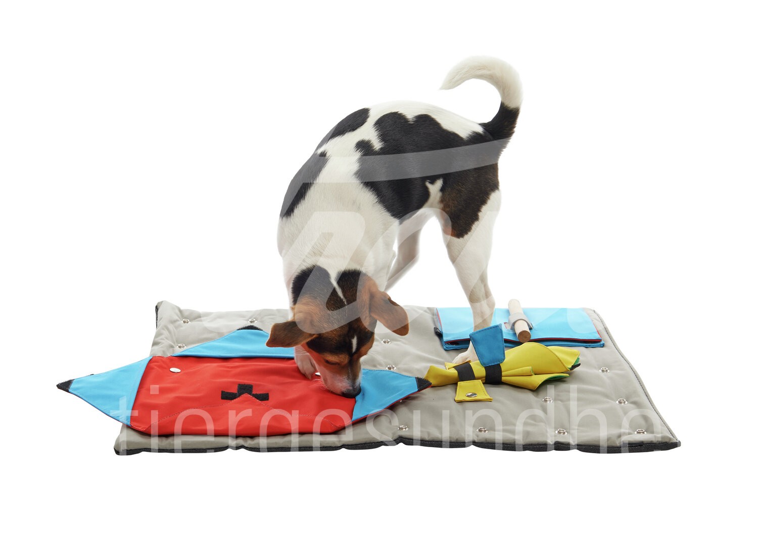 BUSTER ActivityMat Aufgabe Anfängersatz m. 3 Aktivitäten 1 Set
