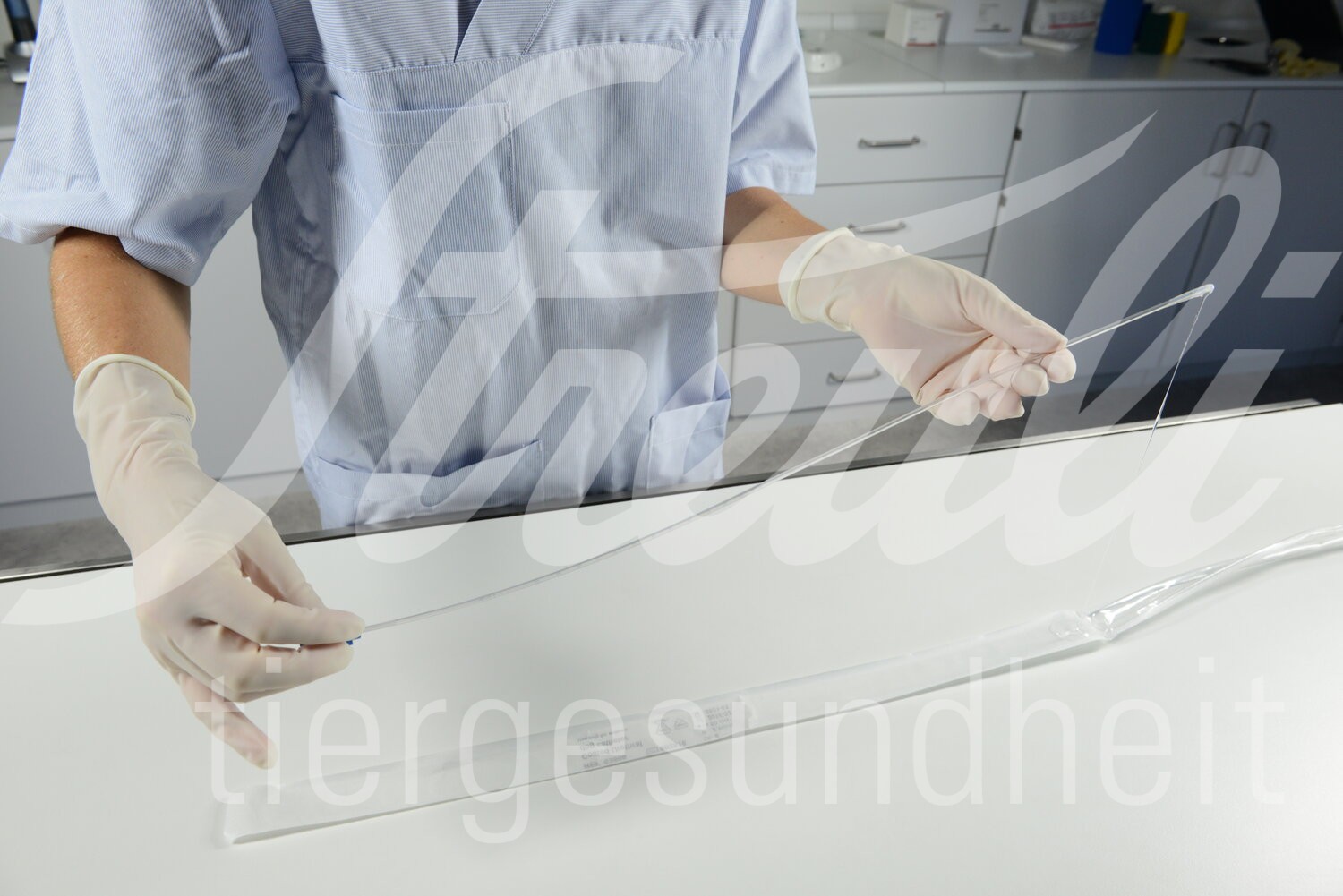 BUSTER NC Harn Katheter Hund 1.6 mm x 50 cm 5 Stück