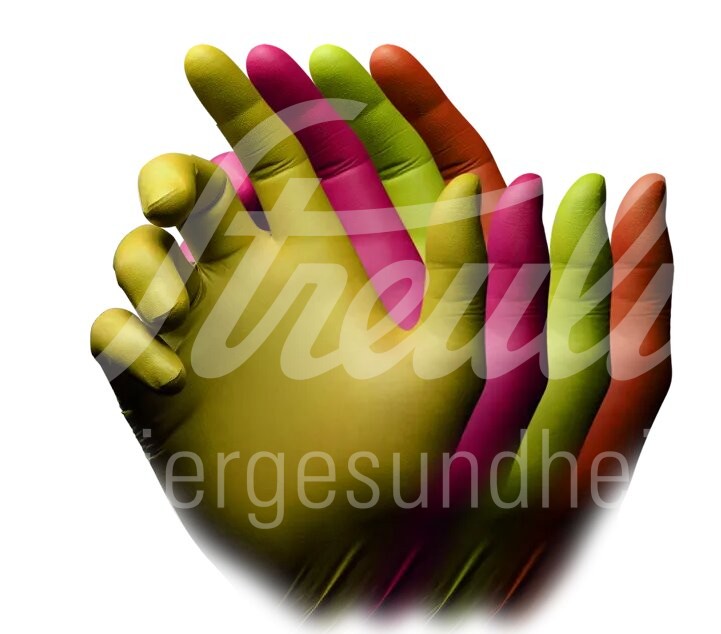 Nitril US-Handschuh Tutti Frutti L puderfr. bunt 96Stk. Nitril US-Handschuh Tutti Frutti L puderfr. bunt 96Stk.