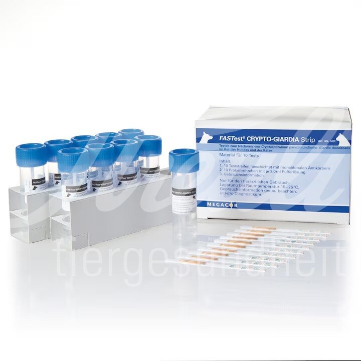 FASTest BOR in TICK, Borrelien in der Zecke 5 Stück